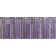 Grip-Rite PrimeGuard Max 16-Gauge 304-Stainless Steel Straight Finish Nail in Resealable Belt-Clip Box  2-1/2 In. (1000 Ct.)