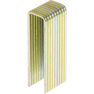 Grip-Rite PrimeGuard Max 16-Gauge 304-Stainless Steel N-Style Medium Crown Finish Staple in Resealable Belt Clip Box  7/16 In. x 1-1/4 In. (500 Ct.)