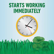 Roundup For Lawns 32 Oz. Spray Southern Formula Weed Killer