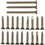 National Brass Tone Door Hinge Screw Pack (21 Ct.)