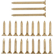 National Bright Brass Door Hinge Screw Pack (21 Ct.)