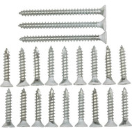 National White Door Hinge Screw Pack (21 Ct.)