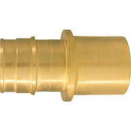 Apollo Retail 1 In. x 1 In. Brass Insert Fitting MSWT Adapter Type A