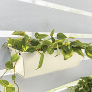 Krylon Fusion All-In-One Gloss Spray Paint & Primer  Dover White