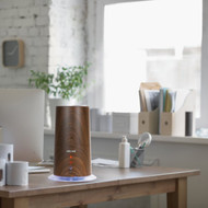 AirCare Mesa 0.8 Gal. Capacity 750 Sq. Ft. Warm/Cool Mist Ultrasonic Humidifier