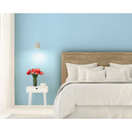 Rust-Oleum Sure Color Eggshell Sky Blue Interior Wall Paint and Primer  Gallon
