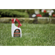 Ortho BugClear 32 Oz. Ready To Spray Hose End Lawn & Landscape Insect Killer