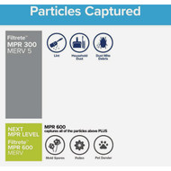 Filtrete 20 In. x 24 In. x 1 In. 300 MPR Basic Dust & Lint Furnace Filter  MERV 5