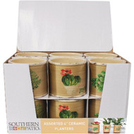 Southern Patio Small Succulent Ceramic Planter Tray Pack (12-Pack)