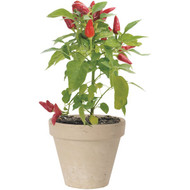 Ceramo 3-3/4 In. H. x 4-1/2 In. Dia. White Basalt Clay Standard Flower Pot