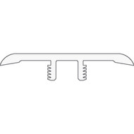 Shaw Coretec One Plus T-Mold Salton Chestnut