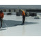 Image 6 Image 6
