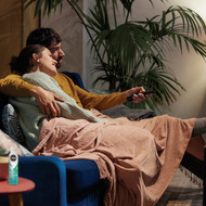 Stem 10 Oz. Aerosol Spray Flying Insect Killer