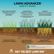 Turf Titan Lawn Advancer 32 Oz. 6000 Sq. Ft. 2-7-7 Lawn Fertilizer
