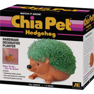 Chia Pet Hedge Hog Decorative Pottery Planter