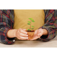 PlantBest 3.25 In. Coconut Coir Plantable Pot (8-Pack)