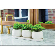 Syndicate Modern Stoneware Assortment with Rack