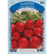 American Seed Vegetables  Flowers  & Herbs Seed Display (1000-Packets)