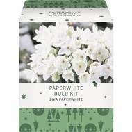 GSB Amaryllis Gift Box Flower Bulb