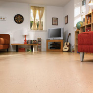 Rust-Oleum EpoxyShield Satin Basement Floor Coating Kit  Tan  120 Oz.