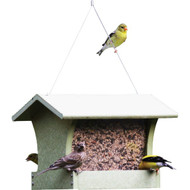 Bird's Choice Green Solutions Green Plastic Hopper Bird Feeder  3 Qt.