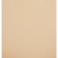 Outdoor Expressions 2-Person 67 In. W. x 67 In. H. x 53.5 In. D. Tan Patio Swing