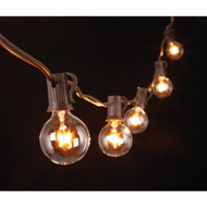 Gerson 20 Ft. 20-Light Clear Bulb String Lights