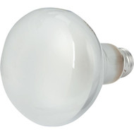 Philips DuraMax 45W Frosted Medium Base BR30 Incandescent Floodlight Light Bulb (3-Pack)