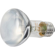 Philips DuraMax 45W Frosted Indoor Medium Base R20 Incandescent Floodlight Light Bulb