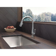 Delta Essa Single Handle Lever Kitchen Faucet with Pull-Down Spray  Chrome