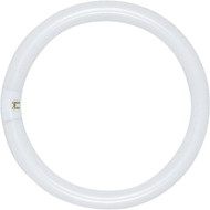 Satco 22W 8 In. Cool White T9 Circline 4-Pin Fluorescent Tube Light Bulb
