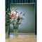 Image 5 Image 5