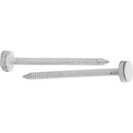 Do it 2 In. 10 ga Hot Galvanized Roofing Nails (96 Ct.  1 Lb.).
