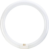 Philips 32W 12 In. Bright White T9 4-Pin Circline Fluorescent Tube Light Bulb