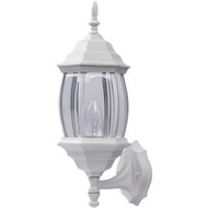 Home Impressions White Incandescent Type A or B Outdoor Wall Light Fixture (2-Pack)