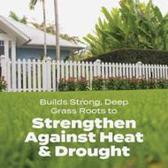 Scotts Turf Builder Bonus S Southern Weed & Feed 18.21 Lb. 5000 Sq. Ft. Weed Killer Plus Lawn Fertilizer