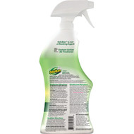 OdoBan 32 Oz. Eucalyptus Washable Surface Sanitizer & Deodorizer
