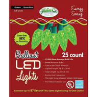 J Hofert Green 25-Bulb C9 LED Light Set