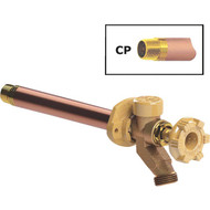 Woodford 1_2 In. SWT x 1_2 In. MIP x 3_4 In. MHT x 12 In. Brass Anti-Siphon Frost Free Wall Hydrant