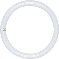 Satco 32W 12 In. Daylight T9 Circline 4-Pin Fluorescent Tube Light Bulb