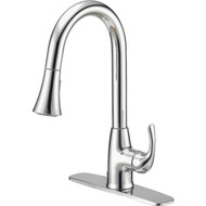 Home Impressions 1-Handle Lever Pull-Down Kitchen Faucet with Spray  Chrome