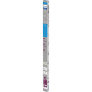 Philips Ballast Bypass 32W Equivalent 48 In. Daylight T8 Bi-Pin LED Tube Light Bulb (2-Pack)