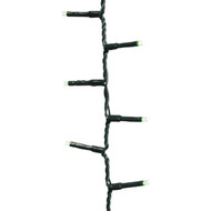 Lumineo Green 500-Bulb LED Compact Light Set with Dark Green Wire