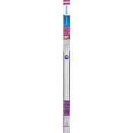 Philips UniversalFit 32W/40W Equivalent 48 In. Cool White T8 Bi-Pin LED Tube Light Bulb (2-Pack)
