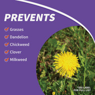 Bonide KleenUp High Efficiency Formula 1 Gal. Ready To Use Wand Sprayer Weed & Grass Killer