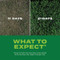 Image 4 Image 4