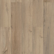 Shaw Floorte Pro Endura Plus Driftwood 7 In. W x 48 In. L Vinyl Rigid Core Floor Plank (18.68 Sq. Ft./Case)