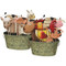 Image 1 Image 1