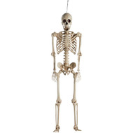 5 Ft. LED Posable Skeleton Halloween Decoration