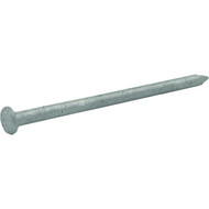 Grip-Rite 8d x 2-1/2 In. Hot Dipped Galvanized Common Nails (900 Ct.  10 Lb.)